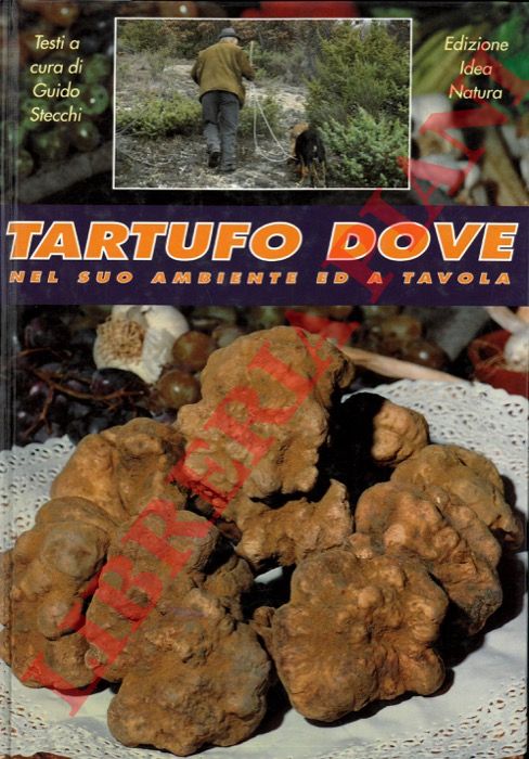 (STECCHI Guido) - - Tartufo dove. Nel suo ambiente ed a tavola.