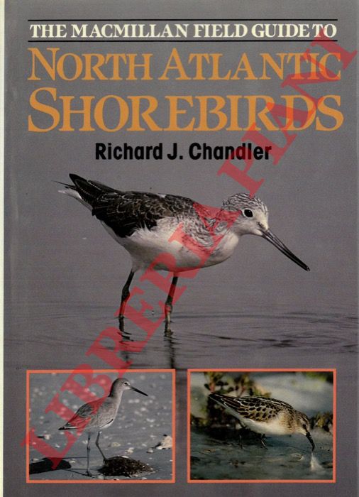 CHANDLER Richard J. - - The Macmillan field guide to North Atlantic Shorebirds. A photographic Guide to the Waders of Western Europe & Eastern North America.