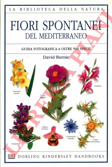 BURNIE David - - Fiori spontanei del Mediterraneo. Guida fotografica a oltre 500 specie.