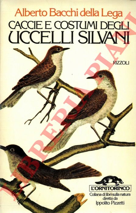 BACCHI DELLA LEGA Alberto - - Caccie e costumi degli uccelli silvani.
