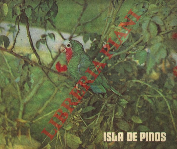 La Comision de Orientacion Revolucionaria del Comite Central del Partido - - Isla de Pinos.