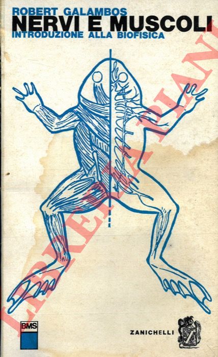 GALAMBOS Robert - - Nervi e muscoli. Introduzione alla biofisica.