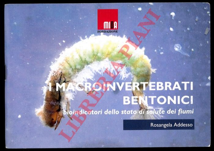 ADDESSO Rosangela - - I macroinvertebrati bentonici bioindicatori dello stato di salute dei fiumi.