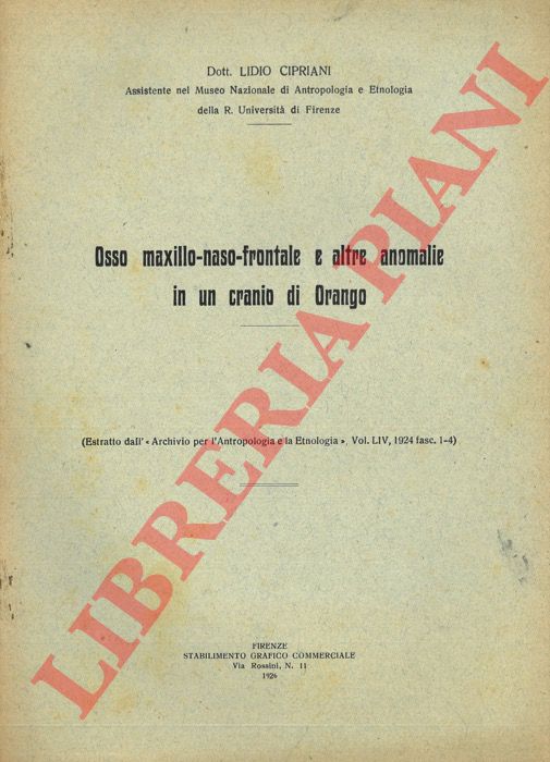 CIPRIANI Lidio - - Osso maxillo-naso-frontale e altre anomalie in un cranio di Orango.