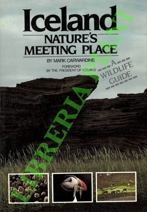 CARWARDINE Mark - - Iceland. Nature's Meeting Place.