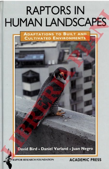 BIRD David - VARLAND Daniel - NEGRO Juan - - Raptors in Human Landscapes. Adaptations to Built and Cultivated Environments.