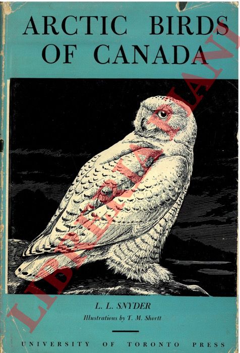 SNYDER L. L. - - Arctic Birds of Canada.