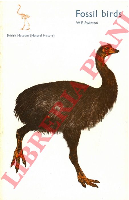 SWINTON W. E. - - Fossil birds.