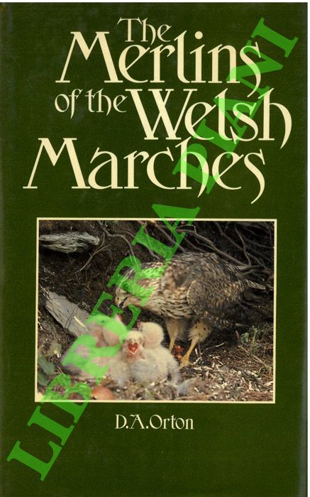 ORTON D. A. - - The Merlins of the Welsh Marches.