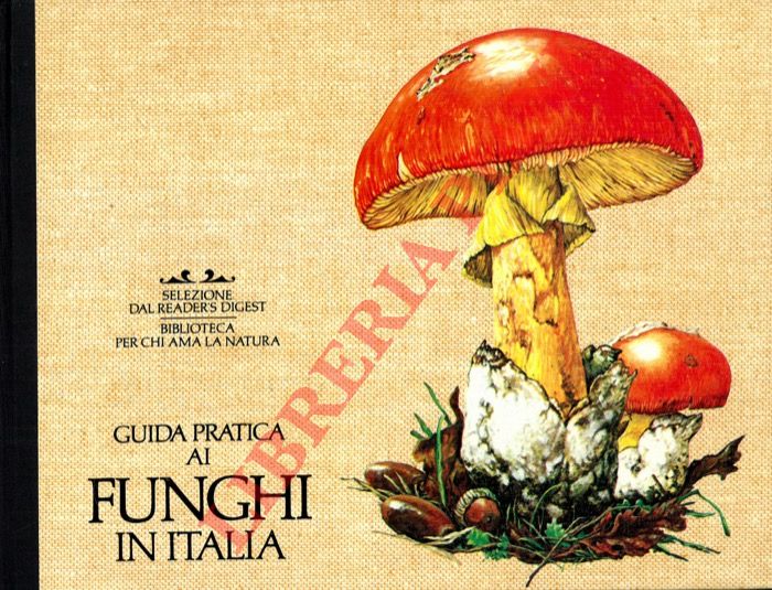 - - Guida pratica ai funghi in Italia.