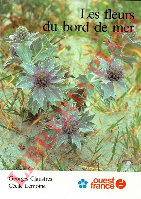 CLAUSTRES Georges - LEMOINE Ccile - - Les fleurs du bord de mer.