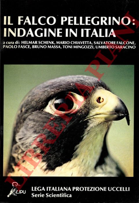 SCHENK H. - CHIAVETTA M. - FALCONE S. - - Il falco pellegrino: indagine in Italia.