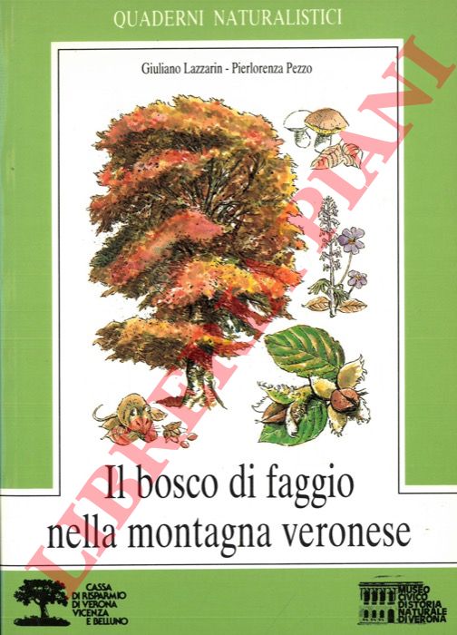 LAZZARIN Giuliano - PEZZO Pierlorenza - - Il bosco di faggio nella montagna veronese.