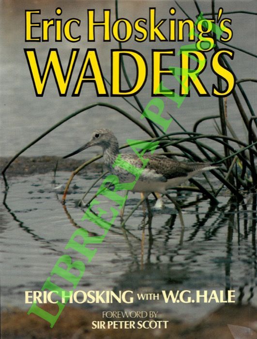 HOSKING Eric & HALE W.G. - - Eric Hosking's waders.