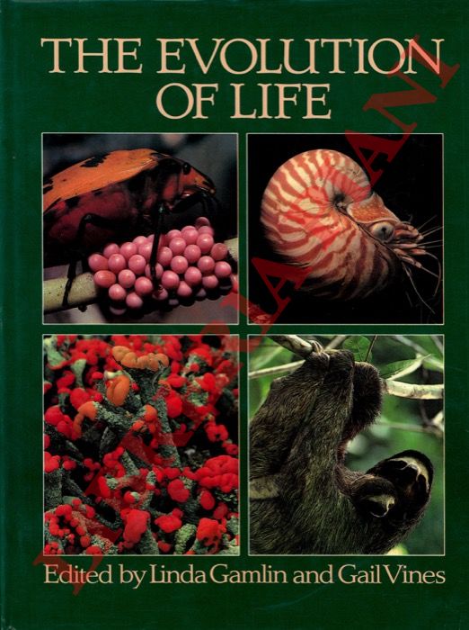 GAMLIN Linda - VINES Gail - - The evolution of life.