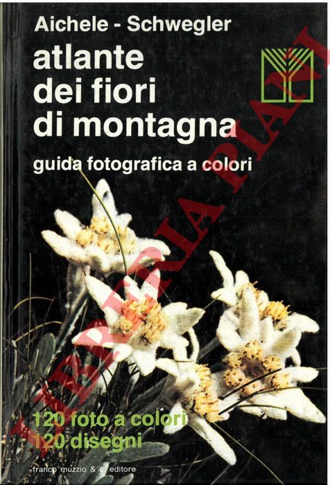 AICHELE Dietmar - SCHWEGLER Heinz-Werner - - Atlante dei fiori di montagna. Guida fotografica a colori.
