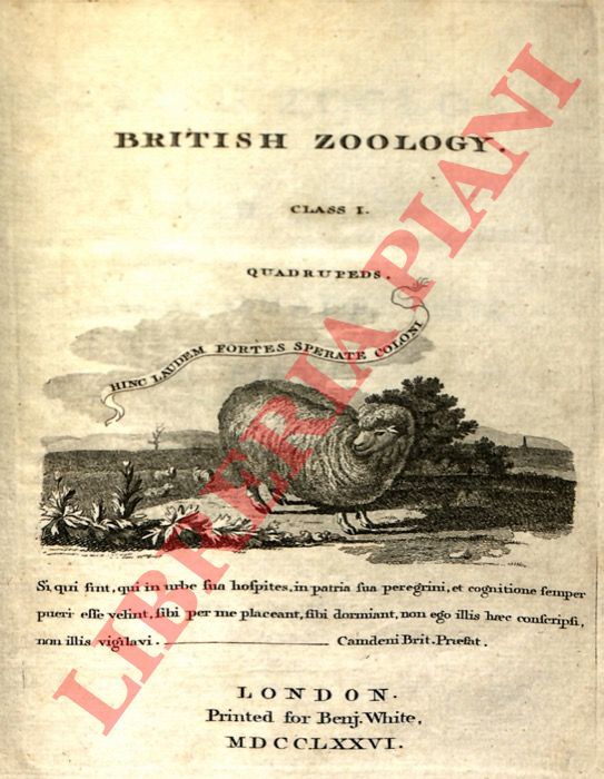 PENNANT Thomas - - British Zoology.