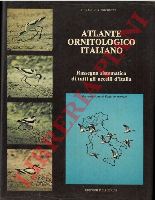 BRICHETTI Pierandrea - - Atlante ornitologico italiano. Rassegna sistematica di tutti gli uccelli d'Italia. Volume I.