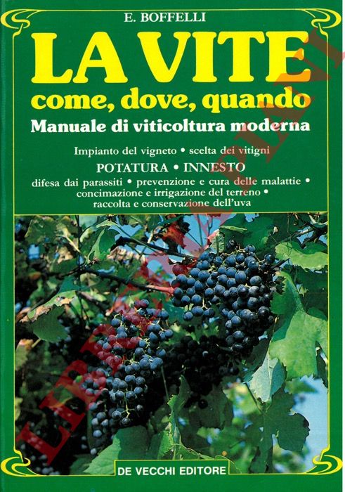 BOFFELLI E. - - La vite. Come, dove, quando. Manuale di viticoltura moderna.