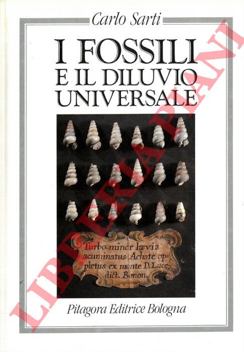 SARTI Carlo - - I fossili e il diluvio universale.