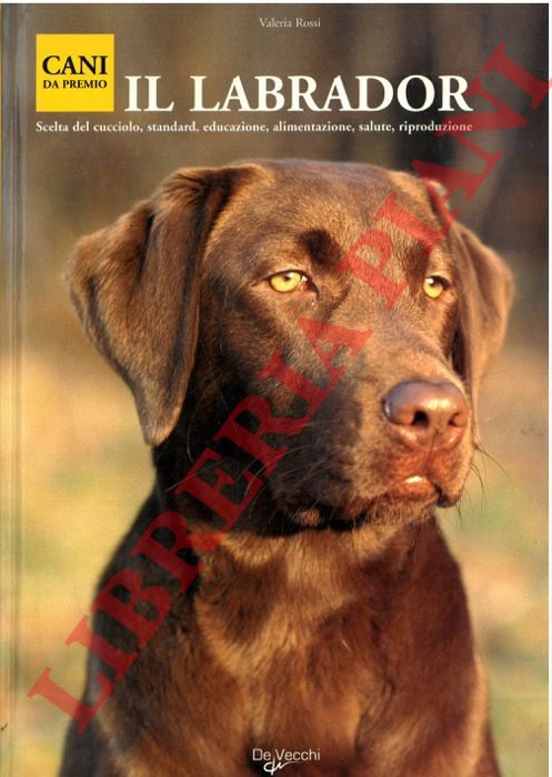 ROSSI Valeria - - Il labrador. Scelta del cucciolo, standard, educazione, alimentazione, salute, riproduzione.