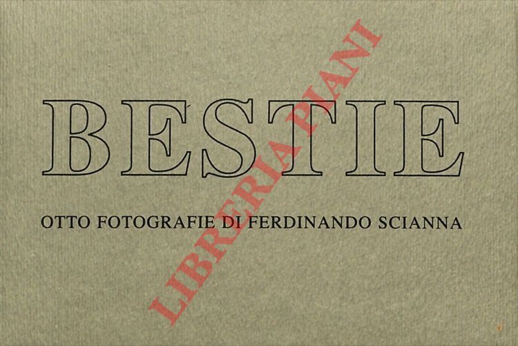 SCIANNA Ferdinando - - Bestie. Otto fotografie.