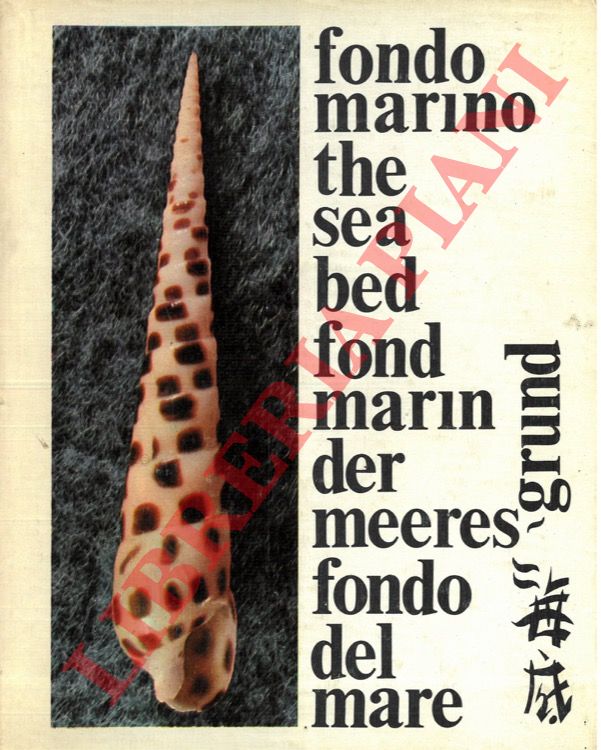 COMO VIDAL Paulino - - Fondo marino.