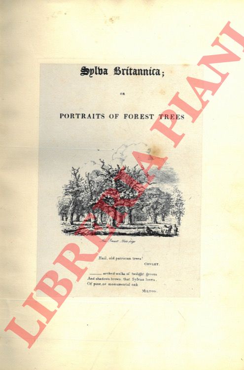 STRUTT Jacob George - - Sylva Britannica; or, Portraits of Forest Trees, Distinguished for Their Anitquity, Magnitude, or Beauty.