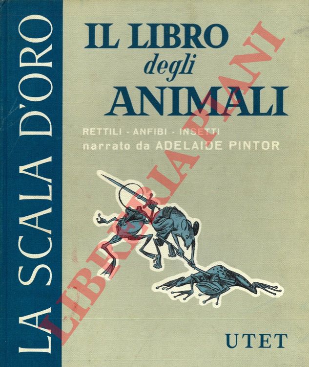 PINTOR Adelaide - - Il libro degli animali. Rettili, anfibi, insetti.