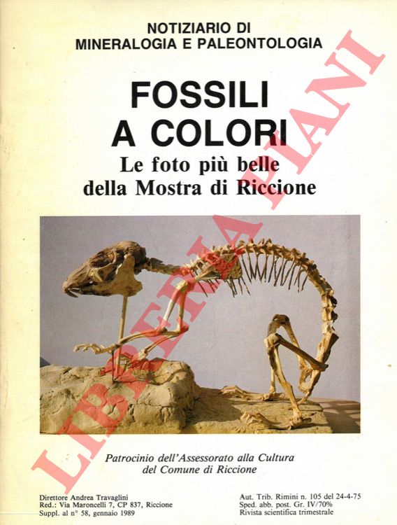 (TAGLIAVINI Andrea) - - Fossili a colori. Le foto pi belle della Mostra di Riccione.