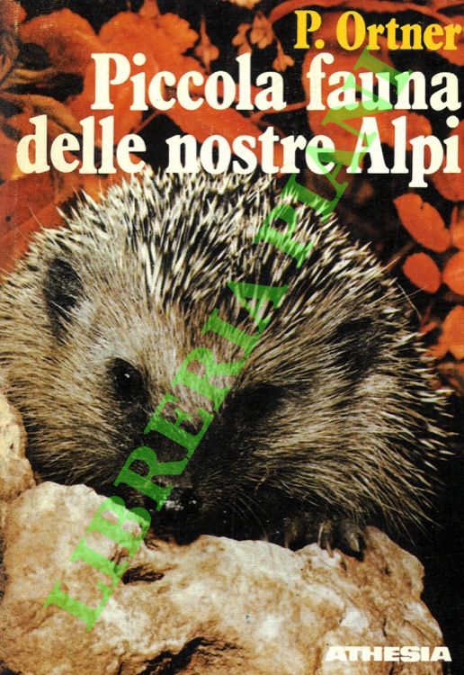 ORTNER P. - - Piccola fauna delle nostre Alpi.