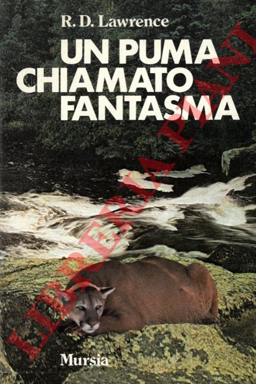 LAWRENCE R. D. - - Un puma chiamato fantasma.