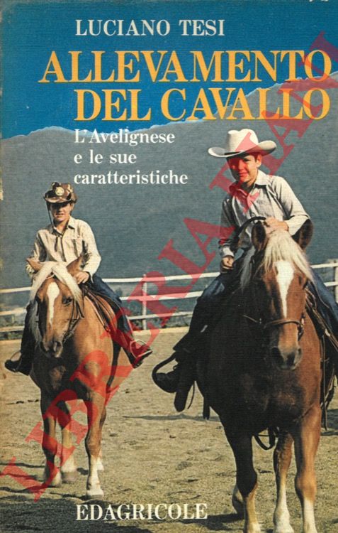 TESI Luciano - - Allevamento del cavallo. L'Avelignese e le sue caratteristiche.