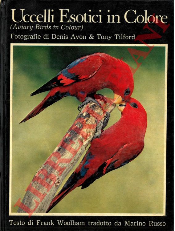 (AVON Denis - TILFORD Tony - WOOLHAM Frank) - - Uccelli esotici in colore (Aviary Birds in Colour).