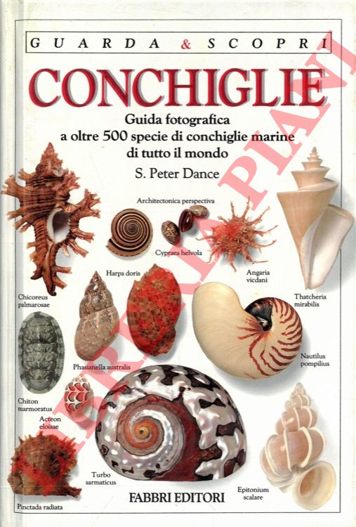 DANCE Peter - - Conchiglie. Guida fotografica a oltre 500 specie di conchiglie marine di tutto il mondo.