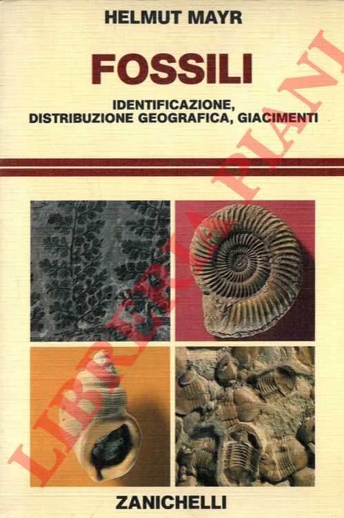 MAYR Helmut - - Fossili. Identificazione, distribuzione geografica, giacimenti.