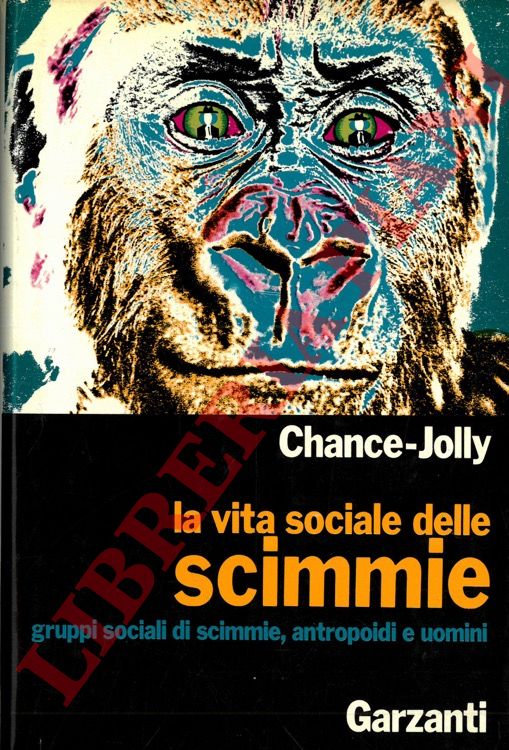 CHANCE Michael - JOLLY Clifford - - La vita sociale delle scimmie. Gruppi sociali di scimmie, antropoidi e uomini.