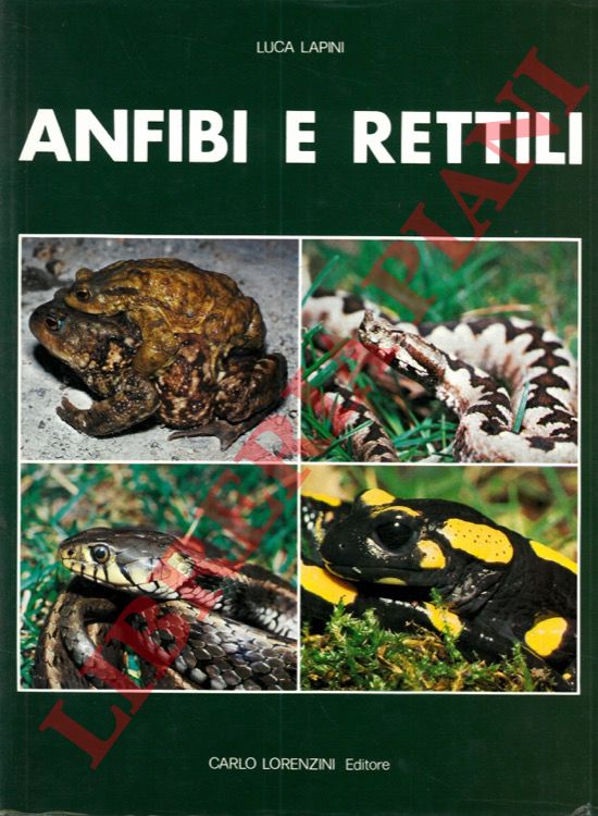 LAPINI Luca - - Anfibi e rettili.