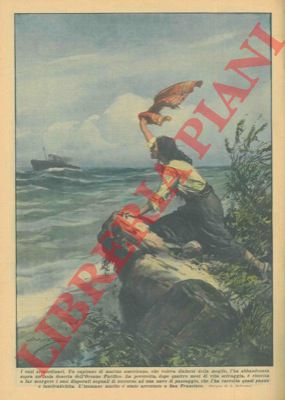 BELTRAME A. - - Capitano di marina americano abbandona la moglie nell'Oceano Pacifico, ma inutilmente: dopo quattro mesi essa viene salvata, ecc.