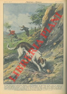 BELTRAME A. - - Il cane che salva il padroncino.