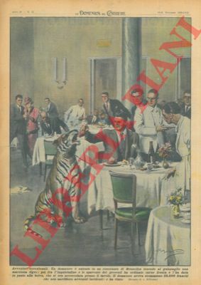 BELTRAME A. - - Un domatore  entrato in un ristorante di Bruxelles tenendo al guinzaglio una maestosa tigre. Ha scommesso 25.000 franchi che non sarebbero avvenuti incidenti e ha vinto.