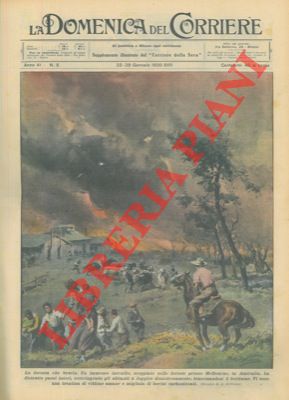 BELTRAME A. - - Un immenso incendio, scoppiato nelle foreste presso Melbourne, ha distrutto paesi interi, costringendo gli abitanti a fuggire disastrosamente, trascinandosi il bestiame.