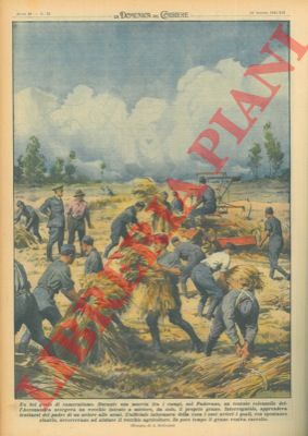 BELTRAME A. - - Durante una marcia fra i campi, un tenente colonnello dell'Aeronautica scorgeva un vecchio intento a mietere, da solo, il proprio grano. Appreso ch era il padre di un aviere alle armi tutto i soldati lo hanno aiutato.