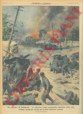 BELTRAME A. - - Le vittoriose truppe germaniche, penetrate in Stalingrado, snidano strada per strada gli accaniti difensori sovietici.