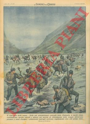 MOLINO W. - - In Finlandia le docili renne sostituiscono spesso i cavalli e i mezzi a motore nei servizi di rifornimento delle truppe.