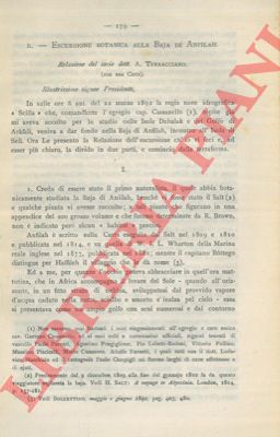 TERRACCIANO A. - - Escursione botanica alla Baja di Anfilah. 