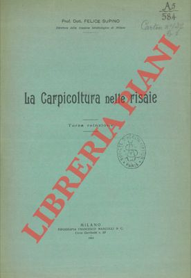 SUPINO Felice - - La carpicoltura nelle risaie (terza relazione).
