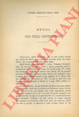 ARRIGONI degli ODDI Ettore - - Studi sugli uccelli Uropterofasciati.