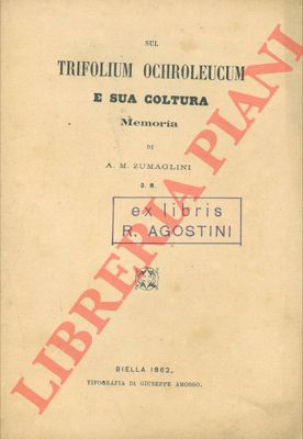 - - Sul Trifolium ochroleucum e sua coltura.
