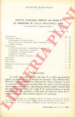 MARTINOLI Giuseppe - - Effetti citologici indotti da raggi x su meristemi di Scilla obtusifolia Poir.